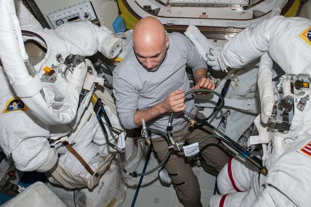 NASA image: Parmitano in Quest airlock