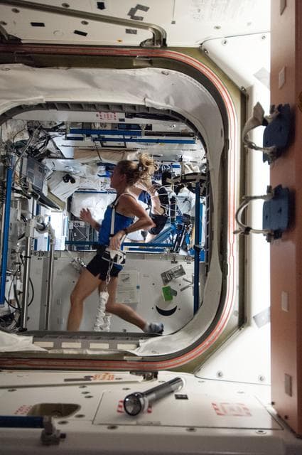 NASA image: Exercising in Node 3