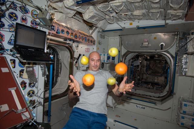 NASA image: Parmitano with fruit in Node 1 module
