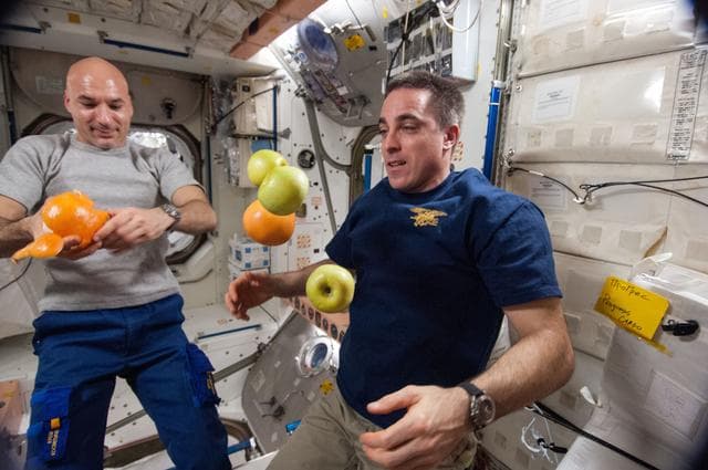 NASA image: Parmitano and Cassidy with fruit in Node 1 module