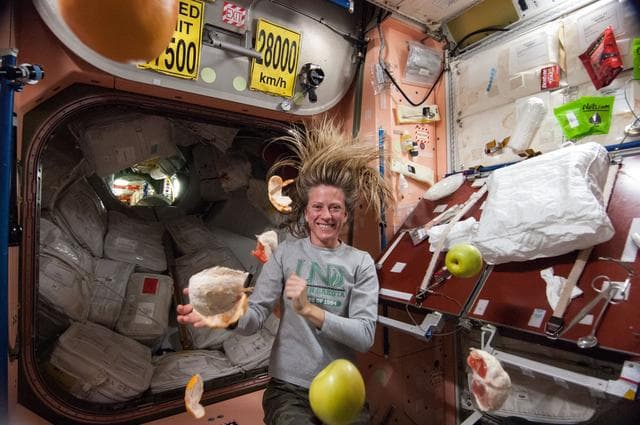 NASA image: Nyberg with fruit in Node 1 module