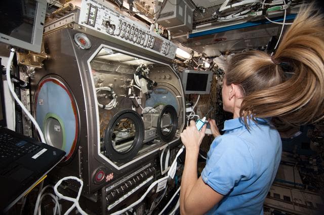 NASA image: InSpace installation