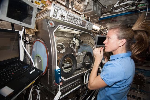 NASA image: InSpace installation
