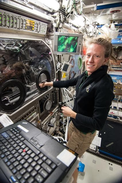 InSPACE-3 experiment