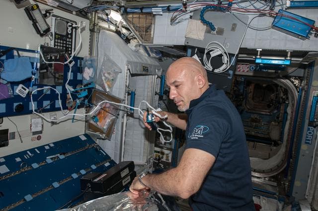 NASA image: Misse8 activity