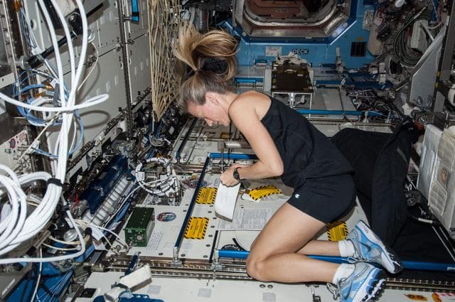 NASA image: Nyberg in U.S. Lab with WORF labels