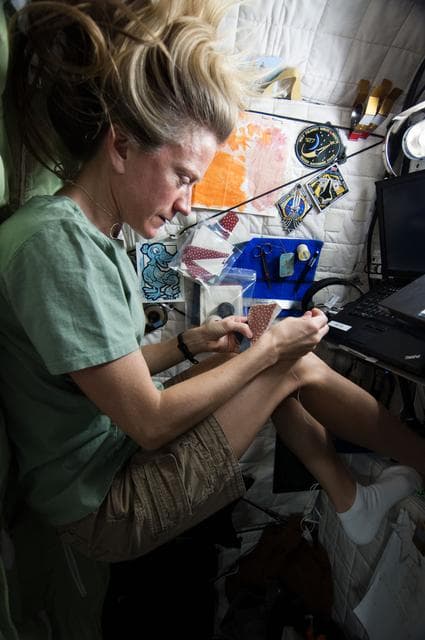 NASA image: Nyberg sewing in Crew Quarters
