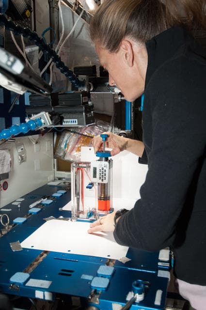 NASA image: Capillary Flow Experiment in Node 2