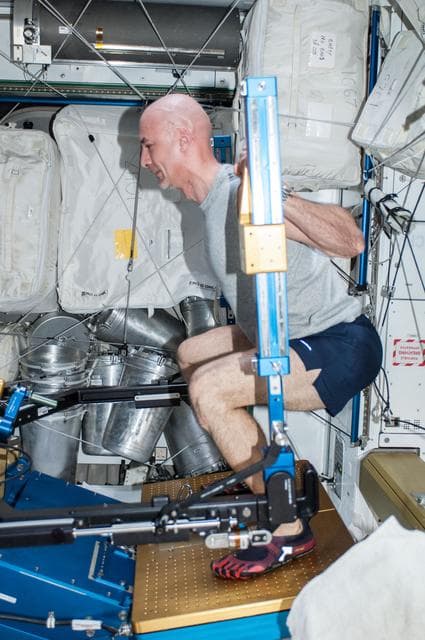 NASA image: Parmitano in Node 3