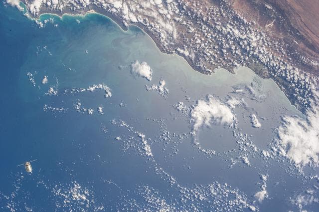 Cygnus Approach