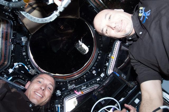 NASA image: Documenting Cygnus Capture by Canadarm2