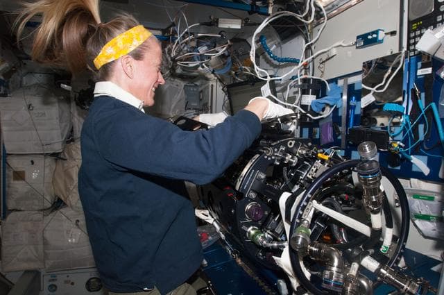 NASA image: Nyberg with MDCA CIA