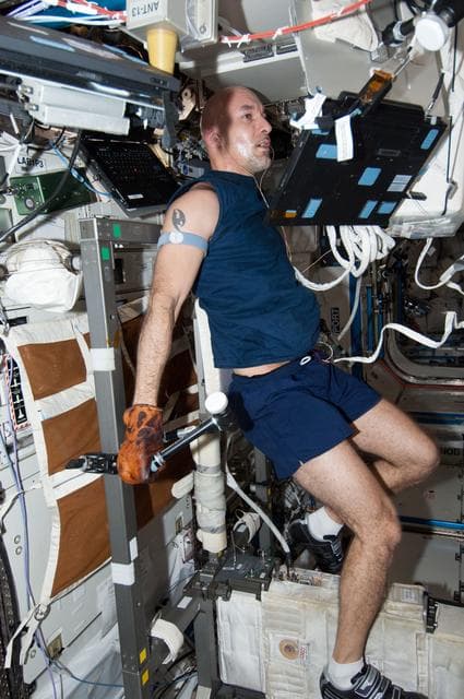 NASA image: Parmitano in U.S. Laboratory
