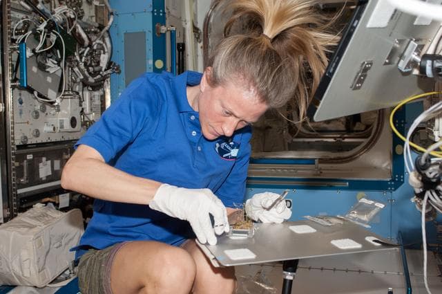 NASA image: Resist Tubule Plant Harvest