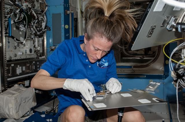 NASA image: Resist Tubule Plant Harvest