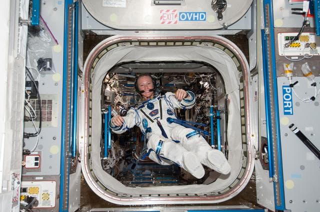 NASA image: Nyberg in Sokal suit