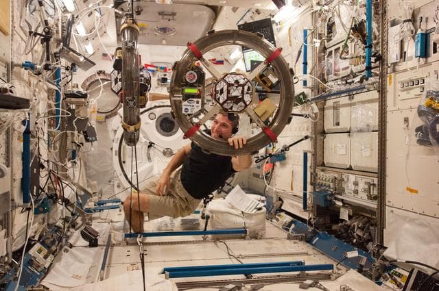 NASA image: Hopkins with SPHERES RINGS