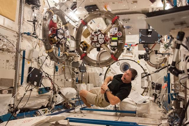 NASA image: Hopkins with SPHERES RINGS