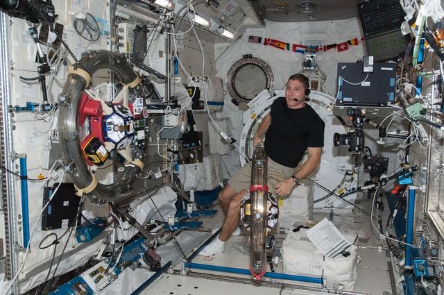 NASA image: Hopkins with SPHERES RINGS