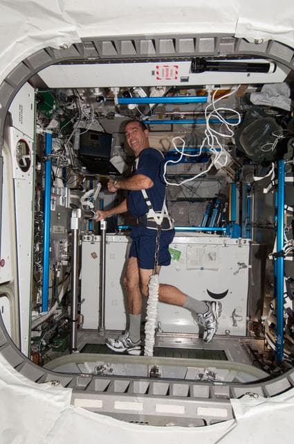 NASA image: Mastracchio on T2 in Node 3