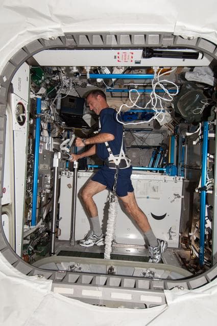NASA image: Mastracchio on T2 in Node 3