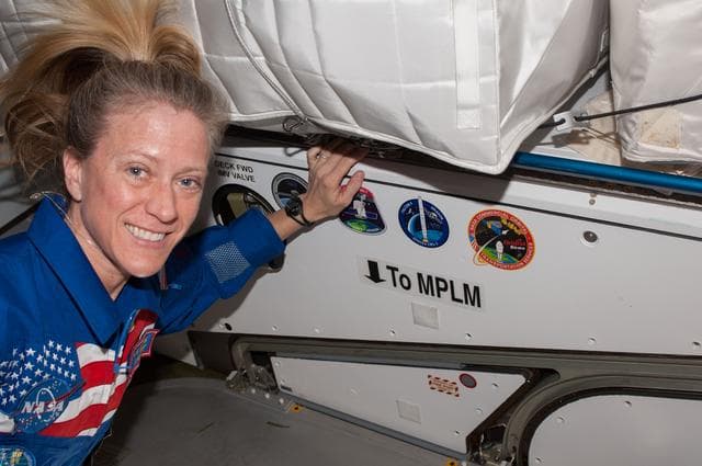 NASA image: Nyberg in Node 2