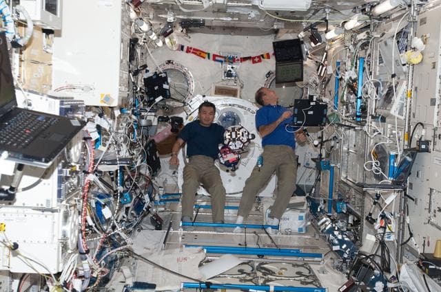 NASA image: Wakata and Mastracchio during SPHERES session