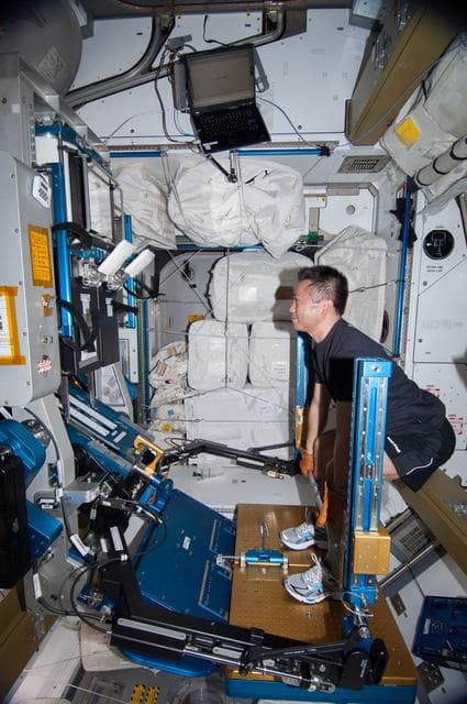 NASA image: Wakata exercises on the aRED
