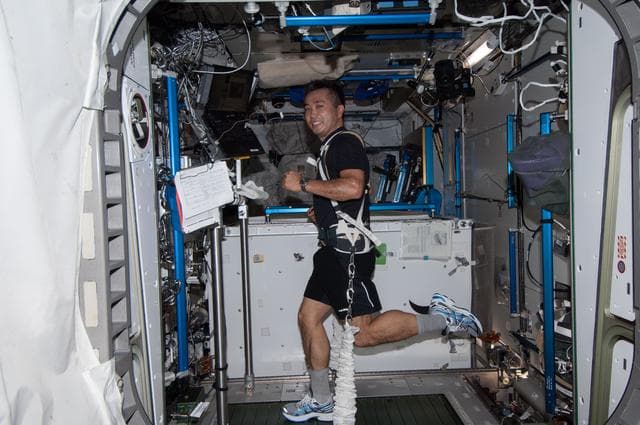 NASA image: Wakata exercises on the COLBERT