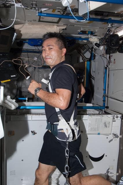 NASA image: Wakata exercises on the COLBERT