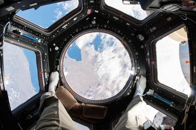 NASA image: Cupula Module