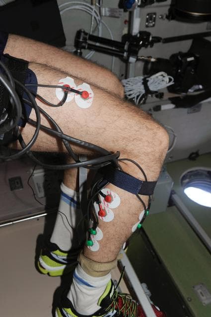 NASA image: Ryazanskiy sets up Motocard Experiment in the SM