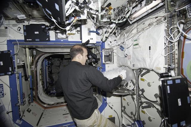 NASA image: Mastracchio removing dewar tray from MELFI