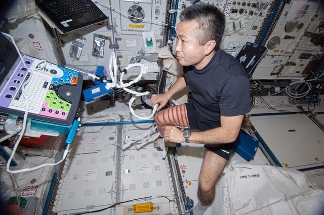 NASA image: FE6 during Sprint Ultrasound Scans