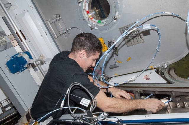 NASA image: Hopkins installs wire harnesses
