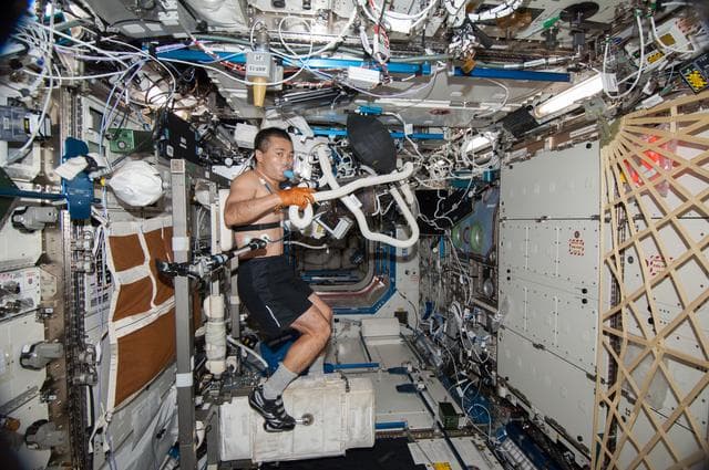 NASA image: Wakata during Sprint VO2 Experiment
