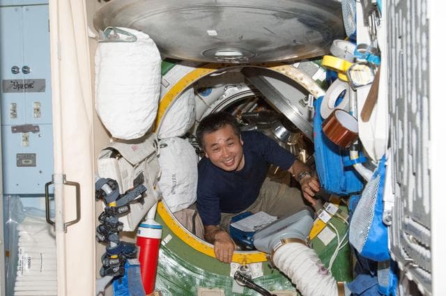 NASA image: Wakata in the SM