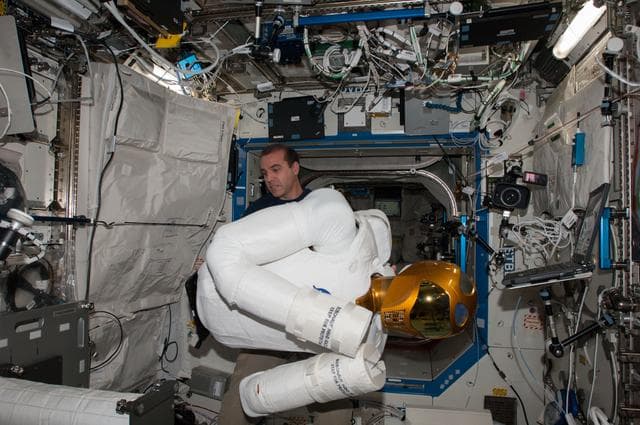 NASA image: FE Mastracchio prepares Robonaut for Taskboard Operations