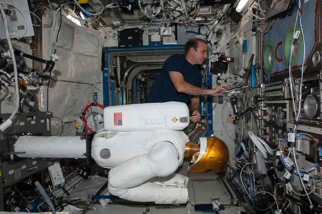 NASA image: Mastracchio prepares Robonaut for Taskboard Operations