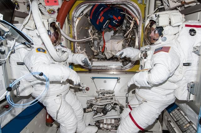 NASA image: Hopkins and Mastracchio in the A/L