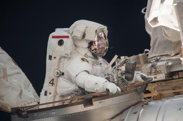 NASA image: EVA 24