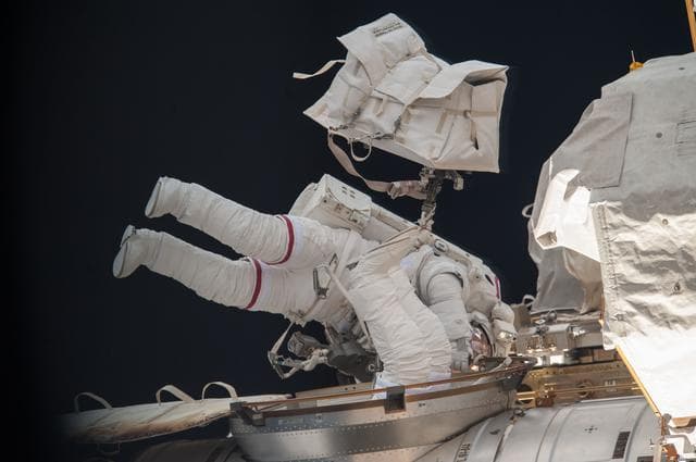 NASA image: EVA 24