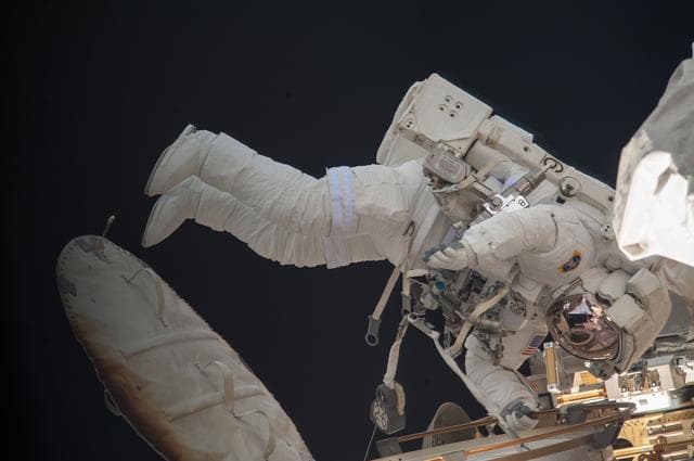 NASA image: EVA 24