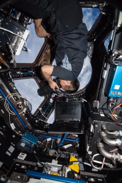 NASA image: Wakata using still camera in the Cupola Module