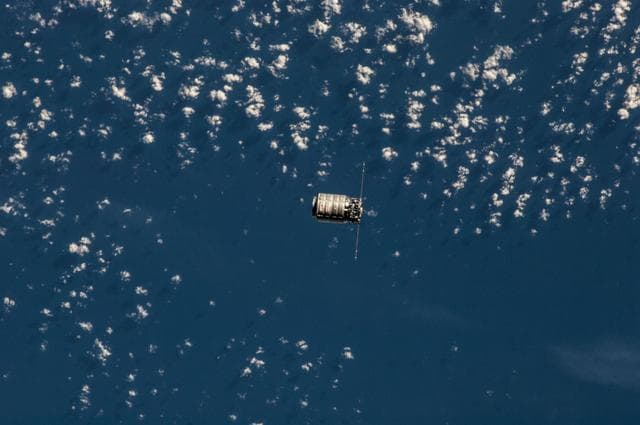 NASA image: Cygnus Capture