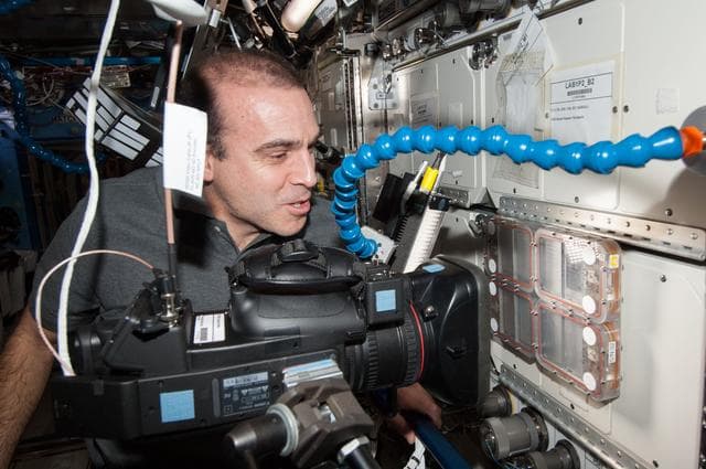 NASA image: Ants in Space