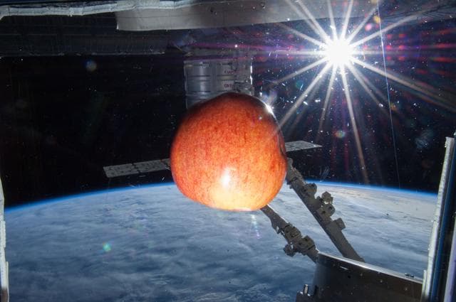 NASA image: Fruit Floating at Cupola Window