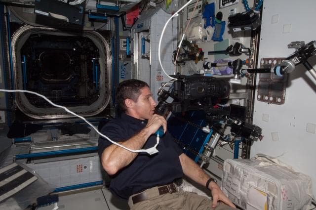 NASA image: Ants in Space