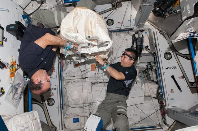 NASA image: Mastracchio and Wakata during Cygus Cargo Preparation in the Node 2