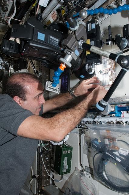 NASA image: Mastracchio works with the Ant Forage Habitat Facility